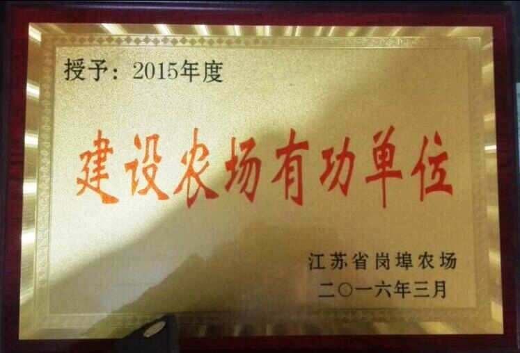 公交新浦公司被授予“建設農(nóng)場有功單位”稱號