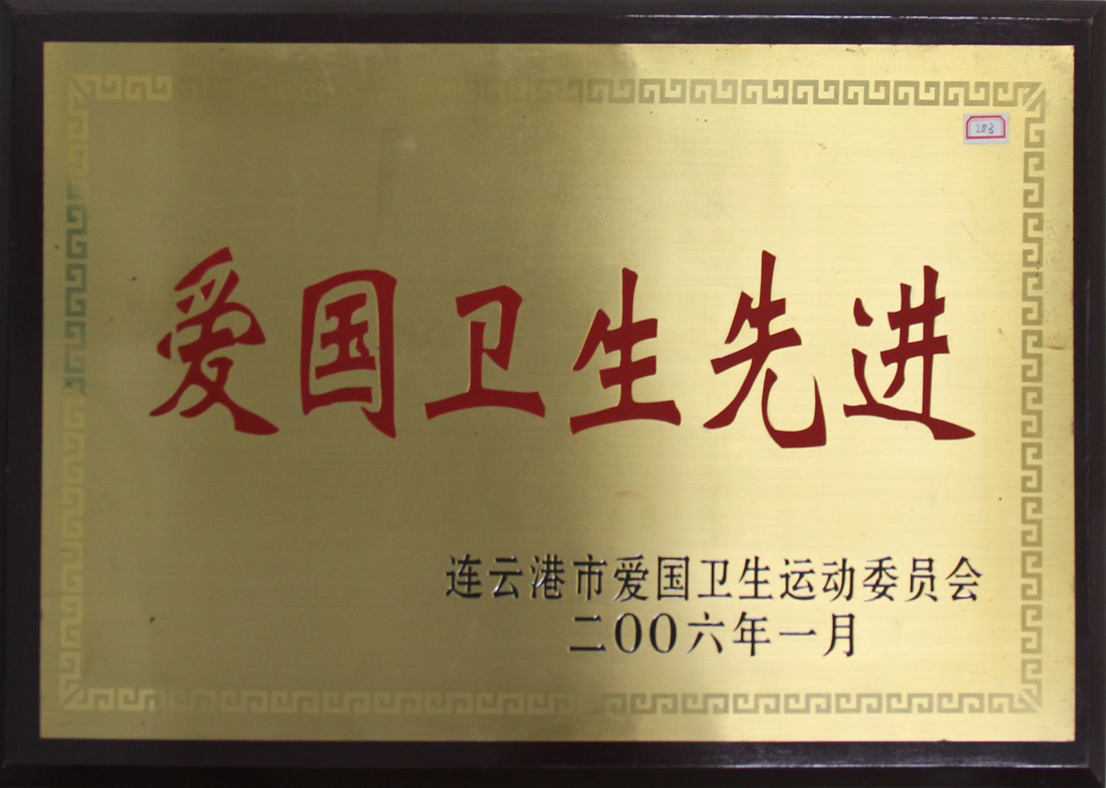 公司榮獲“2006年愛國衛(wèi)生先進”稱號